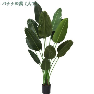 lHϗA oii t A ^ tFCNϗtA A  CeA lHϗtA X GgX c  ItBX Ή E ze [ j JXj J