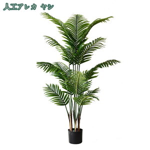 lHϗtA tFCNO[ lHϗt  CeA b炸 sv ItBX z[ oRj[ rO    ƒ ItBX z Ύ A fR[