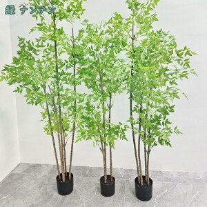 2000~OFFN[| tFCNO[ lHϗtA Xe CeA A Xܑ bsv  O p[e[V tFCNO[ ϗt CeAO[ tFCNA 