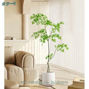 1000~OFFN[| tFCNO[ lHϗt ^ϗt Vv ItBX  CeA { p Iȑ  R͋̕C  i|  j lH