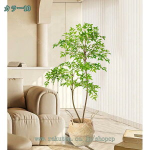 tFCNO[ lHϗt ^ϗt Vv ItBX  CeA { p Iȑ  R͋̕C  i|  j lHϗtA tFC