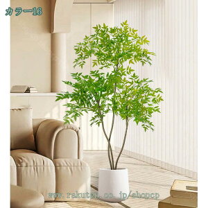 1000~OFFN[| ^ tFCNO[ ϗt lHϗtA CeA  ƒ 悯oRj[ ItBX z[  fR[V CeAO[ ȒP Iȑ z