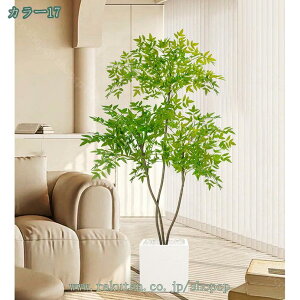 1000~OFFN[| lHϗtA ^ tFCNO[ CeA Ƃ̒ɒu  z[  Lb` ItBX tFCNO[ G鎞ɐ^Ȋ ׍HJ tFCNc[ 