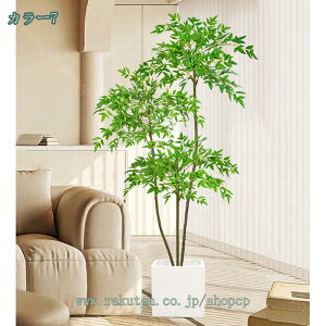 2000~OFFN[| ^ tFCNO[ lHϗtA { iϑ p[eBV Ƃ̒ɒu  z[fR[V fR[V  AEghA ItBX  