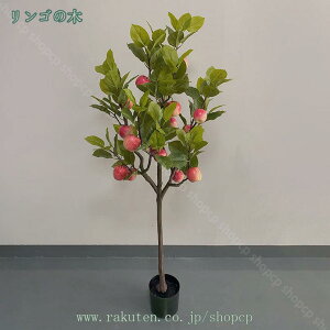 1000~OFFN[| 䙉ʂ̎ lHϗtA ^ tFCNO[ CeA  rO ItBX  Q  ϗtA 킢  sv ȒPb炸 Mtg v[