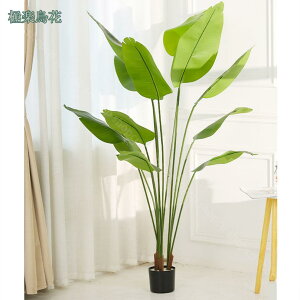 1000~OFFN[| ^ tFCNO[ lHϗtA { iϑ p[eBV Ƃ̒ɒu  z[fR[V  AEghA ItBX   Mъϗt