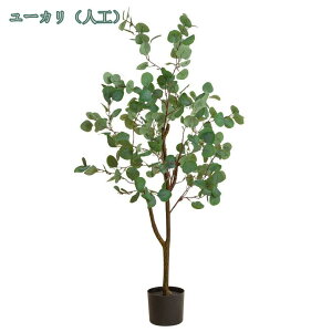 1000~OFFN[| tFCNO[ CeAO[ lHϗtA [J A  ItBX ֐ rO xbh[ JtF  ϗtA [J tFCNO[