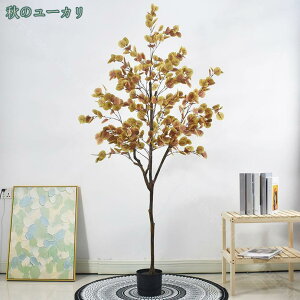 2000~OFFN[| tFCNO[ lHϗtA ^ ϗtA CeA v[g ItBX rO tFCNO[ CeAO[ lHϗtA [J  ȒP R