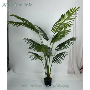 1000~OFFN[| ^ ϗtA lHϗtA tFCNO[ ^ A t CeA A ϗtA tFCN 1{ Xe tFCNO[ CeA  O tFCNA