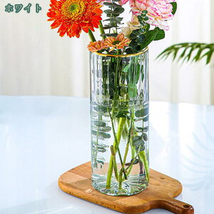 300~OFFN[| Ԃт ԕr  t[x[X ֑} 25cm KX{g k _ V_[ Vv  CeA   ItBX ͔| AW IV 