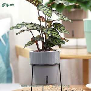 777~OFFN[| v^[X^h t[{[ k t[X^h ACA  K[fjO ԑ v^[  O K[fbN V | u ϗtA o