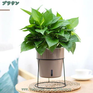 777~OFFN[| v^[X^h t[{[ k t[X^h ACA  K[fjO ԑ v^[  O K[fbN V | u ϗtA o