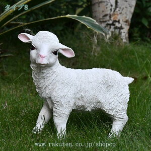 1000~OFFN[| ̏艮O ̒Ђ 킢  qcW̑ K[fI[ig u 傫 { CeAG IVȒu 뒤̑ AEgh