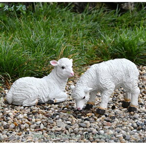 1000~OFFN[| ̏艮O ̒Ђ 킢  qcW̑ K[fI[ig u 傫 { CeAG IVȒu 뒤̑ AEgh