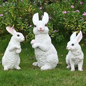 K[fI[ig  rbg    K[fjO u IuWF h ϋv ETM K[f G K[f x_ O ̒  蕨 Ce