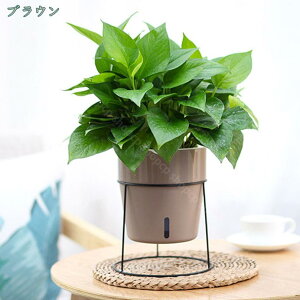 300~OFFN[| |bg X^h t[X^h t ϗtA ACA X`[ u Jo[ v^[X^h AؔX^h v^[  ԑ AI  k  