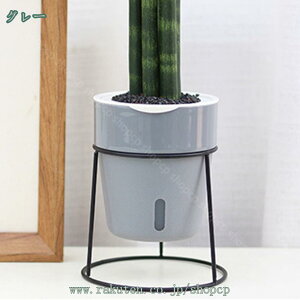 300~OFFN[| t[X^h ACA  fR[VX^h K[fjO ԑ v^[ Lr  O I |bN K[fbN V | u 񂹐A 