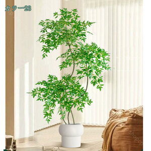 2000~OFFN[| ^ tFCNO[ lHϗtA lH V RŃA ϗtA i`ȕ͋C lHϗt _ȑ lH  ϗtA  A rO