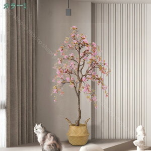 1000~OFFN[| ^ tFCNO[ lHϗtA lH RŃA ϗtA i`ȕ͋C lHϗt _ȑ lH  ϗtA  A rO[