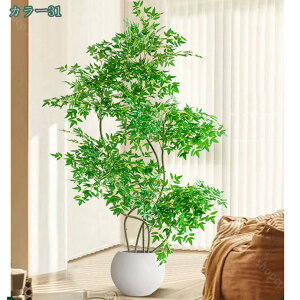 2000~OFFN[| ^ tFCNO[ lHϗtA CeA  rO ItBX  Q  lHϗtA ϗtA 킢  sv ȒPb炸 Mtg v