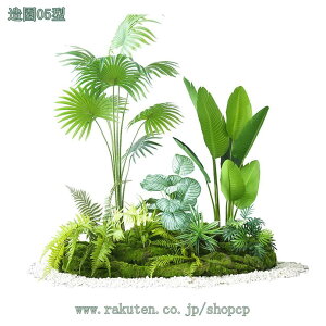 lHϗtA  tFCN 180cm 1{ Xe Mт̃V̖ AJV hZi tFCNO[ ^ CeA  O tFCNA lHϗtA sv ͂Ȃ J