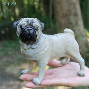 1000~OFFN[| {  ގ kG CeA  킢  ` 낢u nhCh hbO Aj}IuWF CeAG 