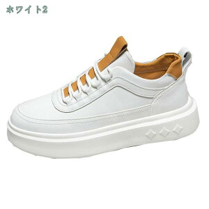 500~OFFN[| Xj[J[ JWAV[Y Y    y ʋC ~ JbRCC ʋ ʊw i x d Vv Ȃ [Jbg 킹₷ Z 