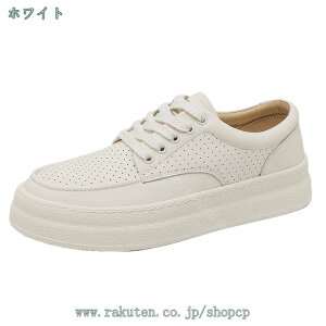 777~OFFN[| 傫TCY Xj[J[ tbgV[Y  ʋC Y  jO JWA [Jbg amC tbgV[Y ₷ ɂ jp 