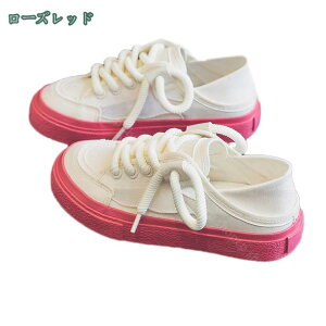 300~OFFN[| Xj[J[  fB[X C hXj[J[ Ȃ Xb| W EH[LOV[Y y i[XV[Y jO EH[LO Ȃ  킢