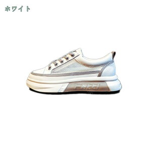 1650~OFFN[|  fB[X C Xj[J[ K r ϖ r y [XAbvV[Y JWAV[Y r  킢 ₷ ₷ ʋ ʊw wZ w 