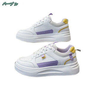 Xj[J[ JWAV[Y fB[X C [XAbv wlC i[XV[Y RtH[g ؂ tbgV[Y d Ȃ L b ̌C ʊw ʋ s AEgh