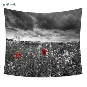 777~OFFN[| ^yXg[ CeA Ǐ Ǌ| RiF Cl][gze x_iF IV z|X^[ ͋C] wi @\ ϋv _炩 ̂ Jo[ ډB shop