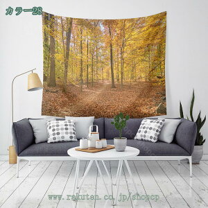 300~OFFN[| H̑^yXg[ H̐X̖؂̑IȗtŕꂽoH @\Ǌ| t@ubNpi  Ri vgp^[ _ȃA[g ͗lւ 