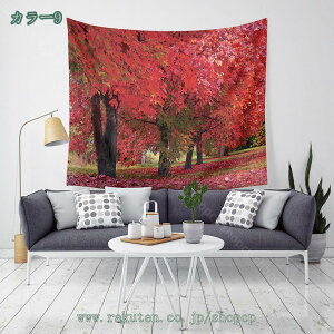 500~OFFN[| H̑^yXg[ H̐X̖؂̑IȗtŕꂽoH @\Ǌ| t@ubNpi  Ri vgp^[ _ȃA[g ͗lւ 