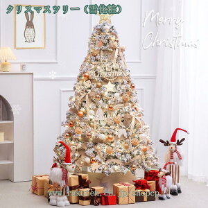 2000~OFFN[| I[igt NX}Xc[ ^ jt  ItBXp    p p[eB[  ܂肽ݎ LxȎ} NX}XfR[V N