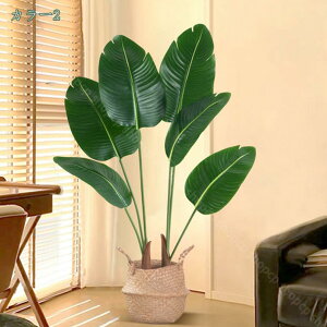 2000~OFFN[| lHϗtA ^ { V~[V tFCNO[ iω|  K[fjO | i|  A lHϗtA  tFCNc[ {