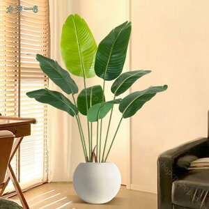 ��^ �t�F�C�N�O���[�� �l�H�ϗt�A�� �{���������� �ډB�� �����p �[�̗� �N�₩ �׍H�����J �i�`�������� �[�̗� ����I�ȑ��� �����s�v �͂�Ȃ� �������ȒP ��^ ���� �g���s�J���A