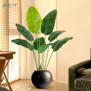 2000~OFFN[| lHϗtA ^ { V~[V tFCNO[ iω|  K[fjO | i|  A lHϗtA  tFCNc[ {