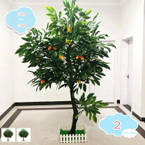 楽天市場】マンゴー（造花・人工観葉植物｜花・観葉植物）：花 