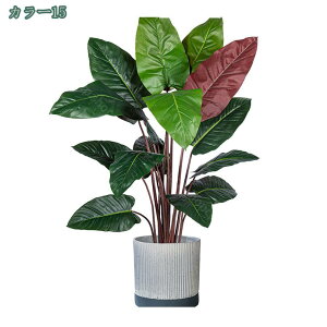 2000~OFFN[| lHϗtA ^ 傫  tFCNc[ ze  fR[V V~[Vc[ JXj 蕨 Mtg N₩ȗt̐F lHϗt {͕킵