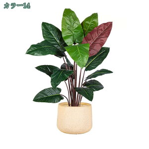 2000~OFFN[| lHϗtA ^ 傫  tFCNc[ ze  fR[V V~[Vc[ JXj 蕨 Mtg N₩ȗt̐F lHϗt {͕킵