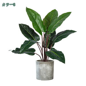 2000~OFFN[| lHϗtA ^ 傫  tFCNc[ ze  fR[V V~[Vc[ JXj 蕨 Mtg N₩ȗt̐F lHϗt {͕킵