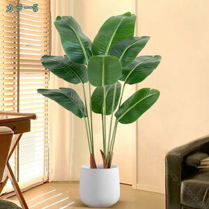 2000~OFFN[| ^ tFCNO[ lHϗtA { ډB p [̗ N₩ ׍HJ i` [̗ Iȑ sv ͂Ȃ ȒP ^ 