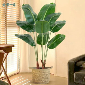 2000~OFFN[| ^ tFCNO[ lHϗtA { ډB p [̗ N₩ ׍HJ i` [̗ Iȑ sv ͂Ȃ ȒP ^ 