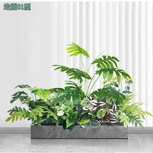 1000~OFFN[| lHϗtA  ^ tFCNO[ { oCIjbN ChA I[ig ~ V~[VA   ItBX gݍ킹 {͕킵