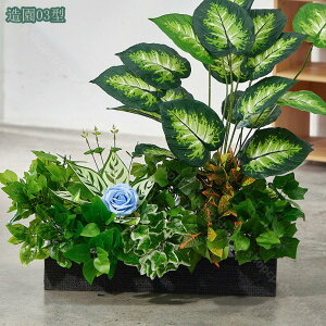  tFCNO[ ^ lHϗtA A lH i` ItBX rO CeA 傫  킢 {͕킵ĂfUC Mъϗt A lHϗtA