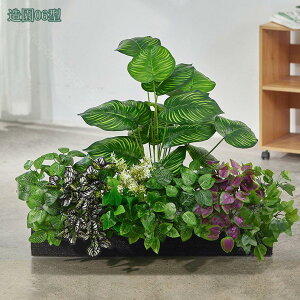 2000~OFFN[| ^ lHϗtA { tFCNO[  ƒ 悯oRj[ z[ x_ ͂Ȃ i` gsJA Ύ Iȑ 邭u₩ 