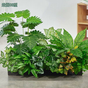 1000~OFFN[| ^ lHϗtA { tFCNO[  ƒ 悯oRj[ z[ x_ ͂Ȃ i` gsJA Ύ Iȑ 邭u₩ 