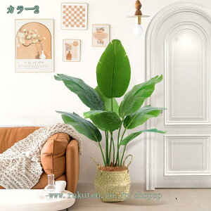  lHϗtA ^ tFCNO[ ϗA lHϗt CeA ItBX   X ^  ItBX ɒuA ϗt A lHϗtA l AJV