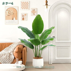 2000~OFFN[|  lHϗtA ^ tFCNO[ ϗA lHϗt CeA ItBX   X ^  ItBX ɒuA ϗt A lHϗtA 